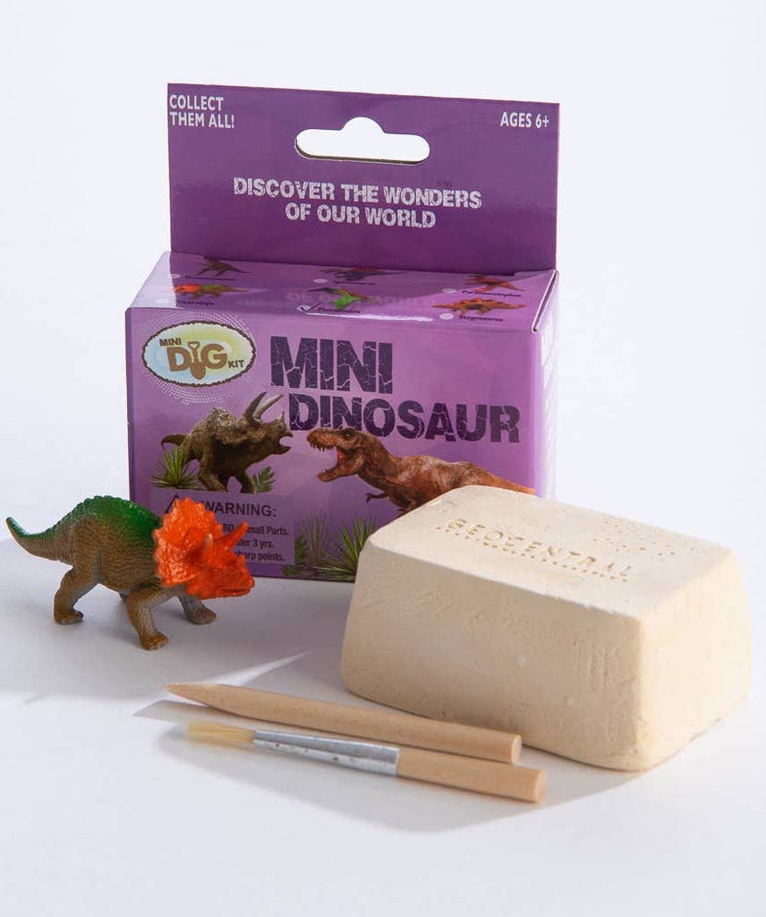 Mini Excavation Dinosaur Kit