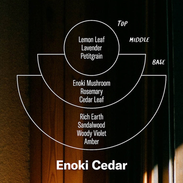 Enoki Cedar Alchemy Candle