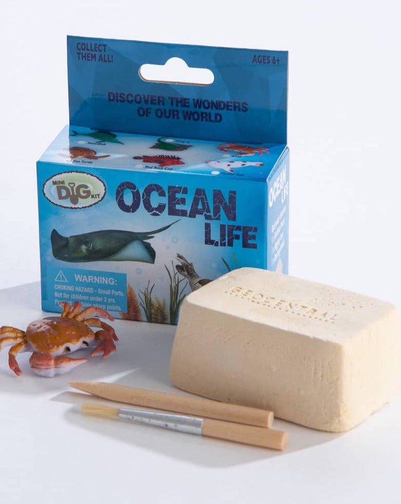 Mini Excavation Ocean Life Kit
