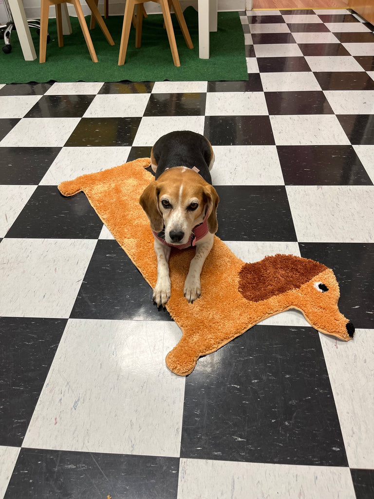 Dog Rug