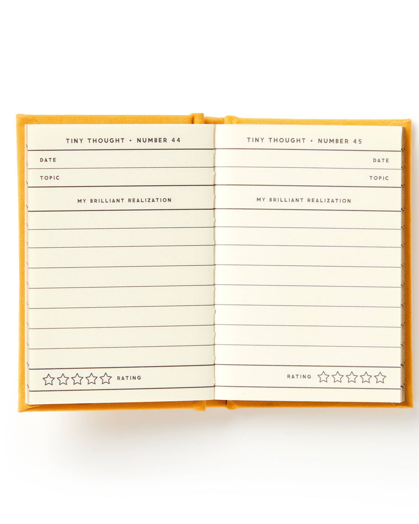 A Tiny Diary for Tiny Thoughts