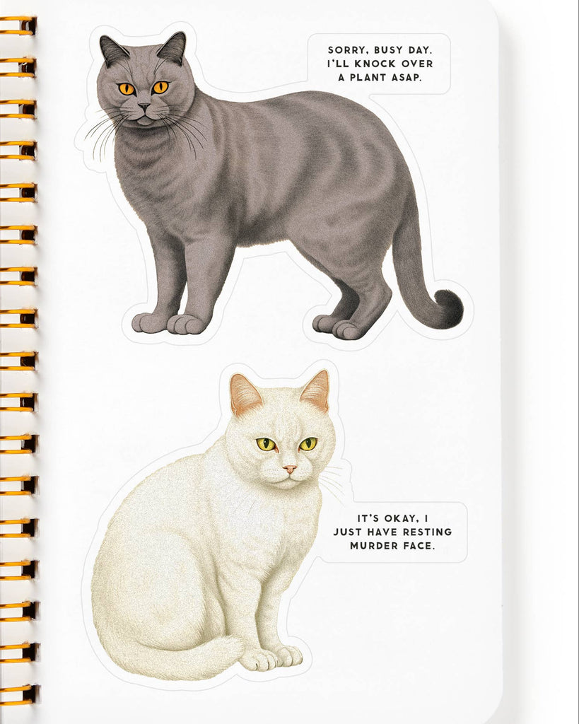 Moody Cats Sticker Book