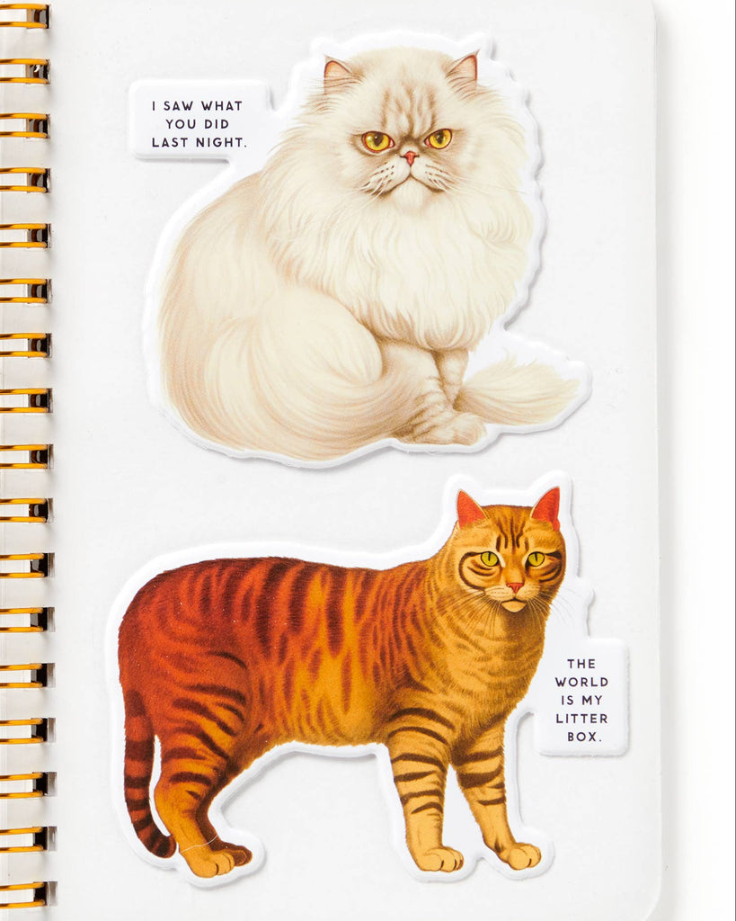 Moody Cats Sticker Book