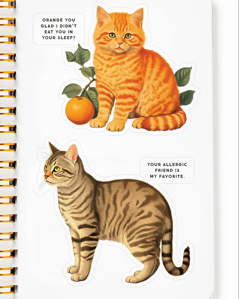 Moody Cats Sticker Book