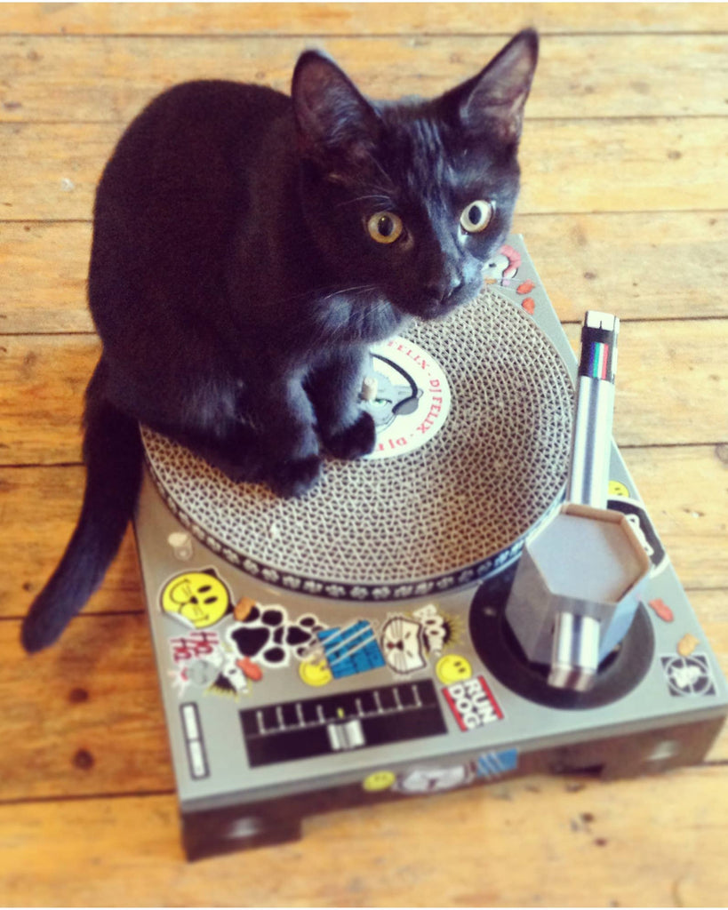 Cat Scratch DJ Decks - unleash your cat’s inner DJ