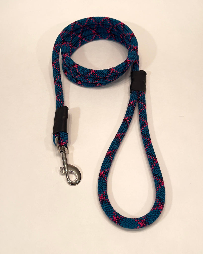 Retired Climbing Rope Dog Leash