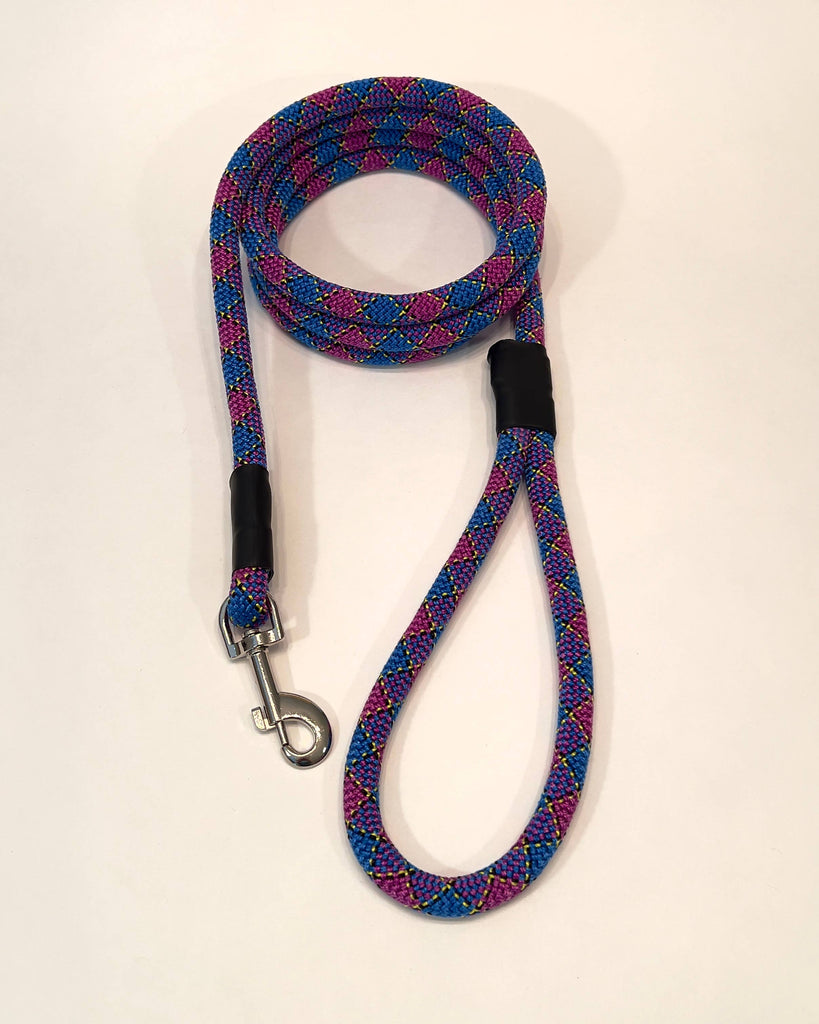 Retired Climbing Rope Dog Leash