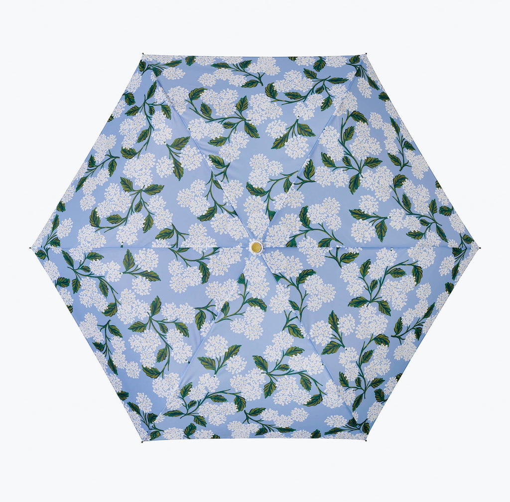 Hydrangea Umbrella