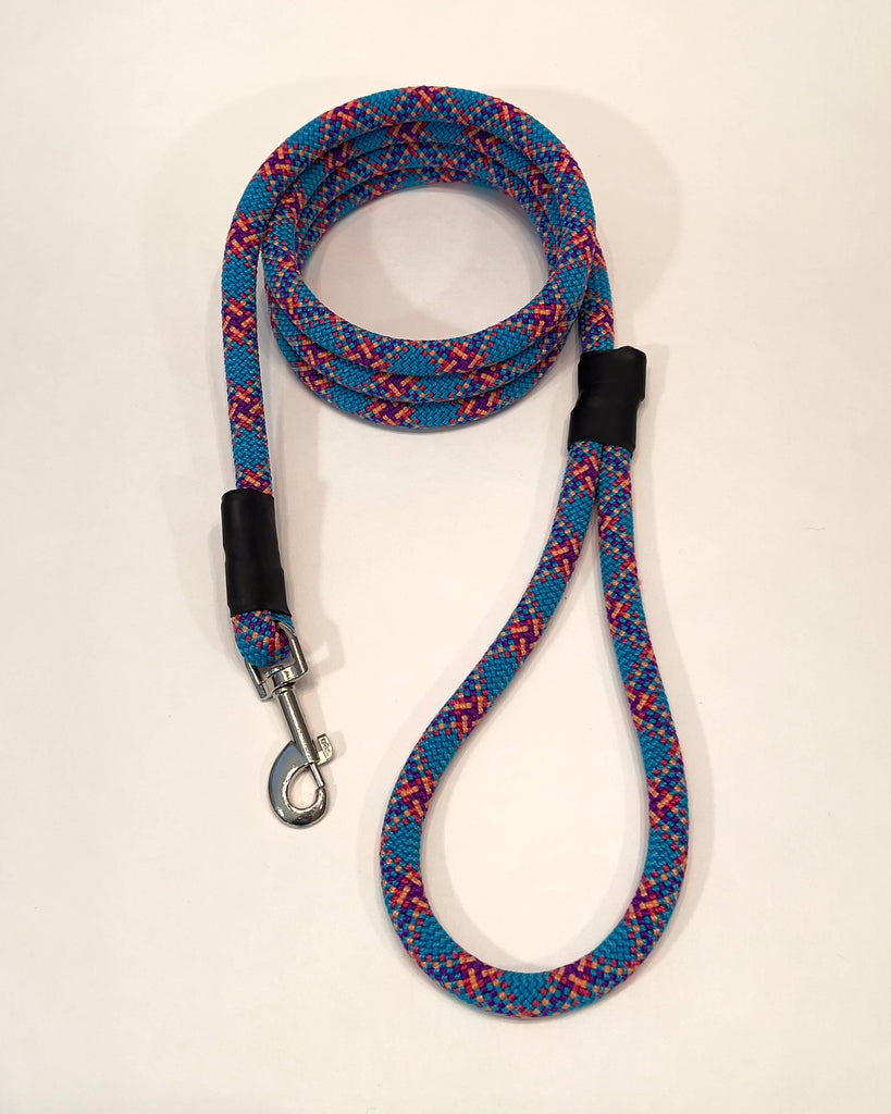Retired Climbing Rope Dog Leash