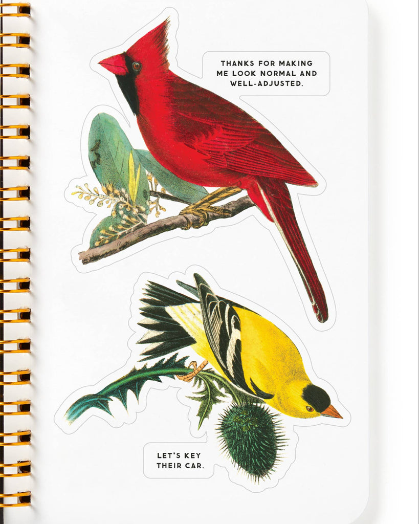 Salty Birds Sticker Book