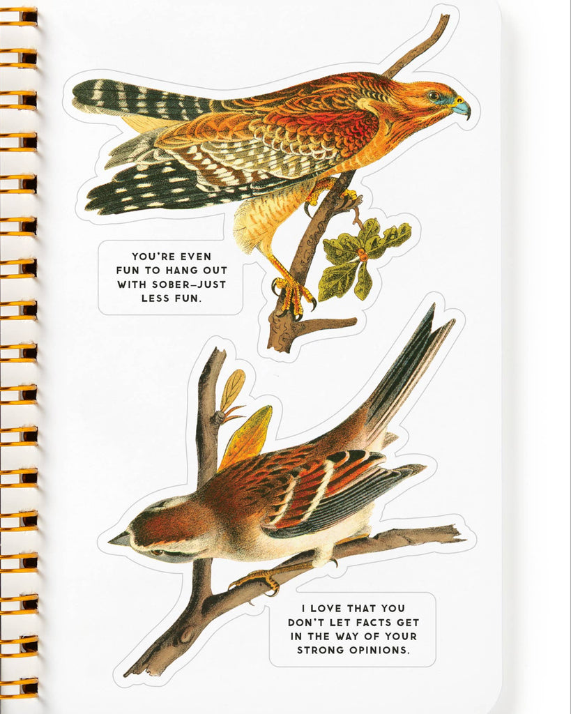 Salty Birds Sticker Book