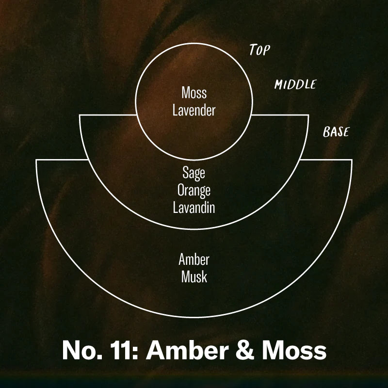 Amber & Moss Hand & Body Wash