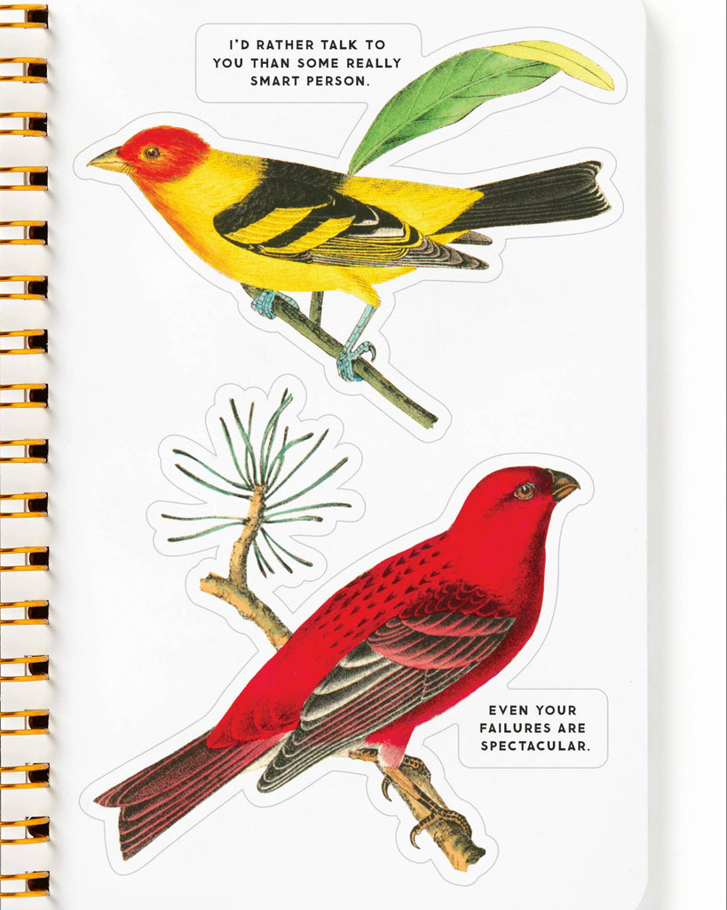 Salty Birds Sticker Book