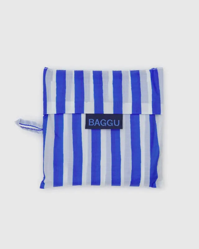 Standard Baggu in Blue Painted Stripe