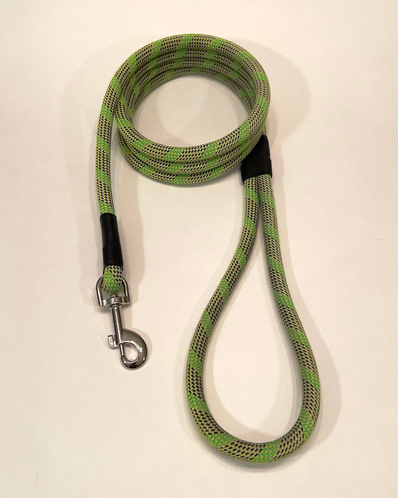 Retired Climbing Rope Dog Leash