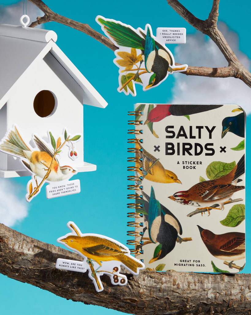 Salty Birds Sticker Book