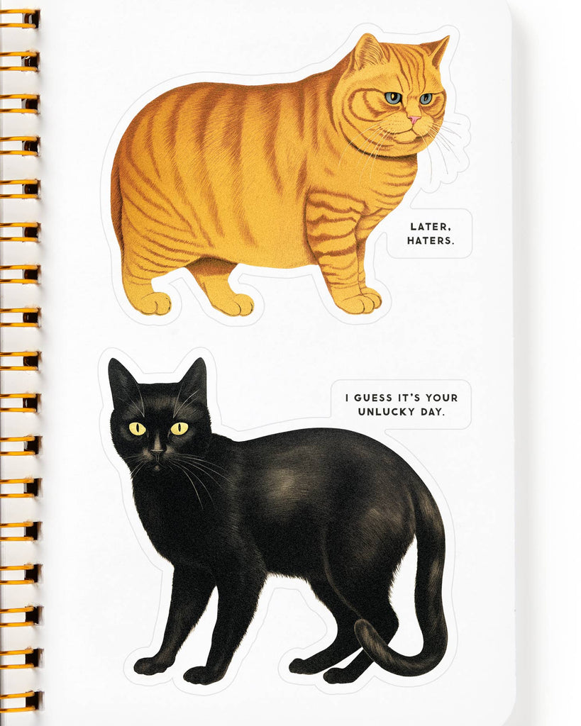Moody Cats Sticker Book