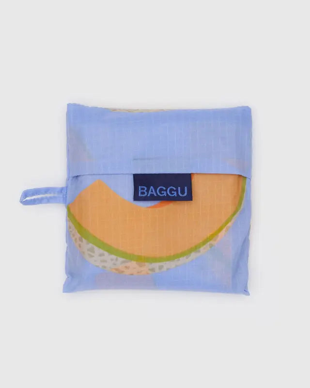 Standard Baggu in Cantaloupe Blue