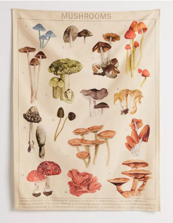 Mushroom Tapestry in Light